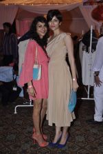 at Elle Carnival in aid of Womens Cancer Initiative a foundation set up by Devieka Bhojwani in Mumbai on 7th April 2013 (95).JPG